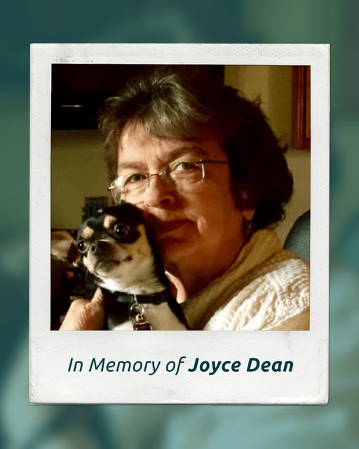Joyce Dean WA, United States Death: Respected Member Of The Wise Team Have Died