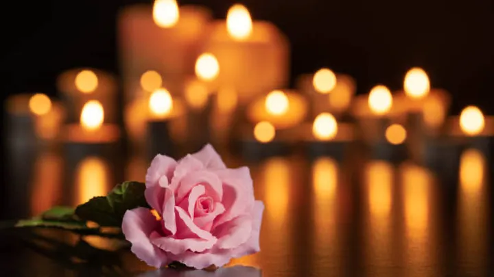 Connie DiMarco Springfield, OR Death: In Loving Memory Of Cherished Soul